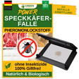 Speckkäfer Falle