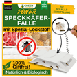 Speckkäfer Falle