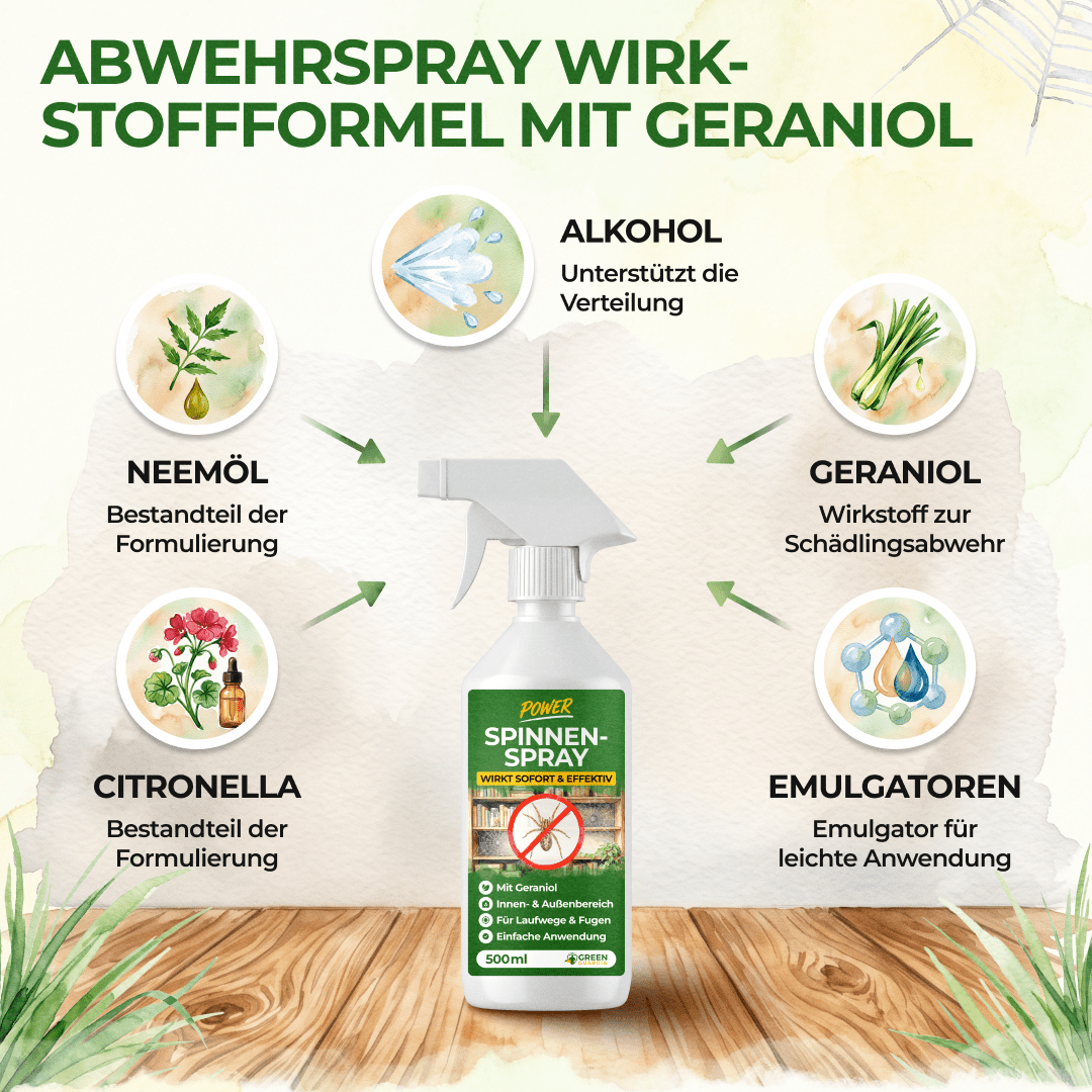 Spinnen Abwehrspray Power-Konzentrat - 500ml - Green Guardia - Ihr Experte für Schädlinge und Pflanzen