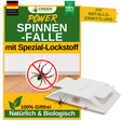 Spinnen Falle