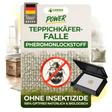 Carpet beetle trap