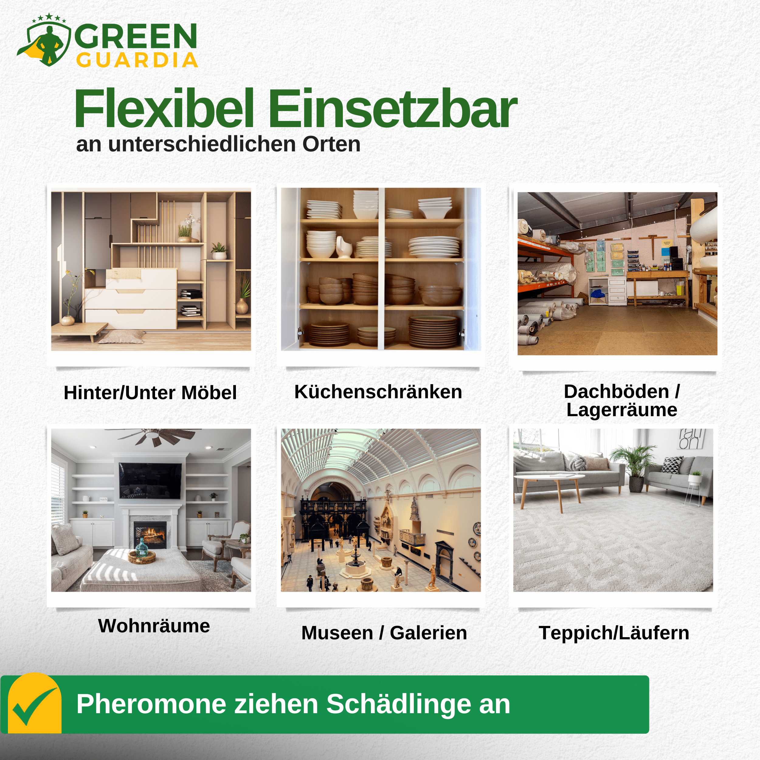 Teppichkäfer Falle mit Pheromon - Lockstoff - Green Guardia - Ihr Experte für Schädlinge und Pflanzen