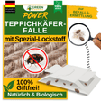 Teppichkäfer Falle