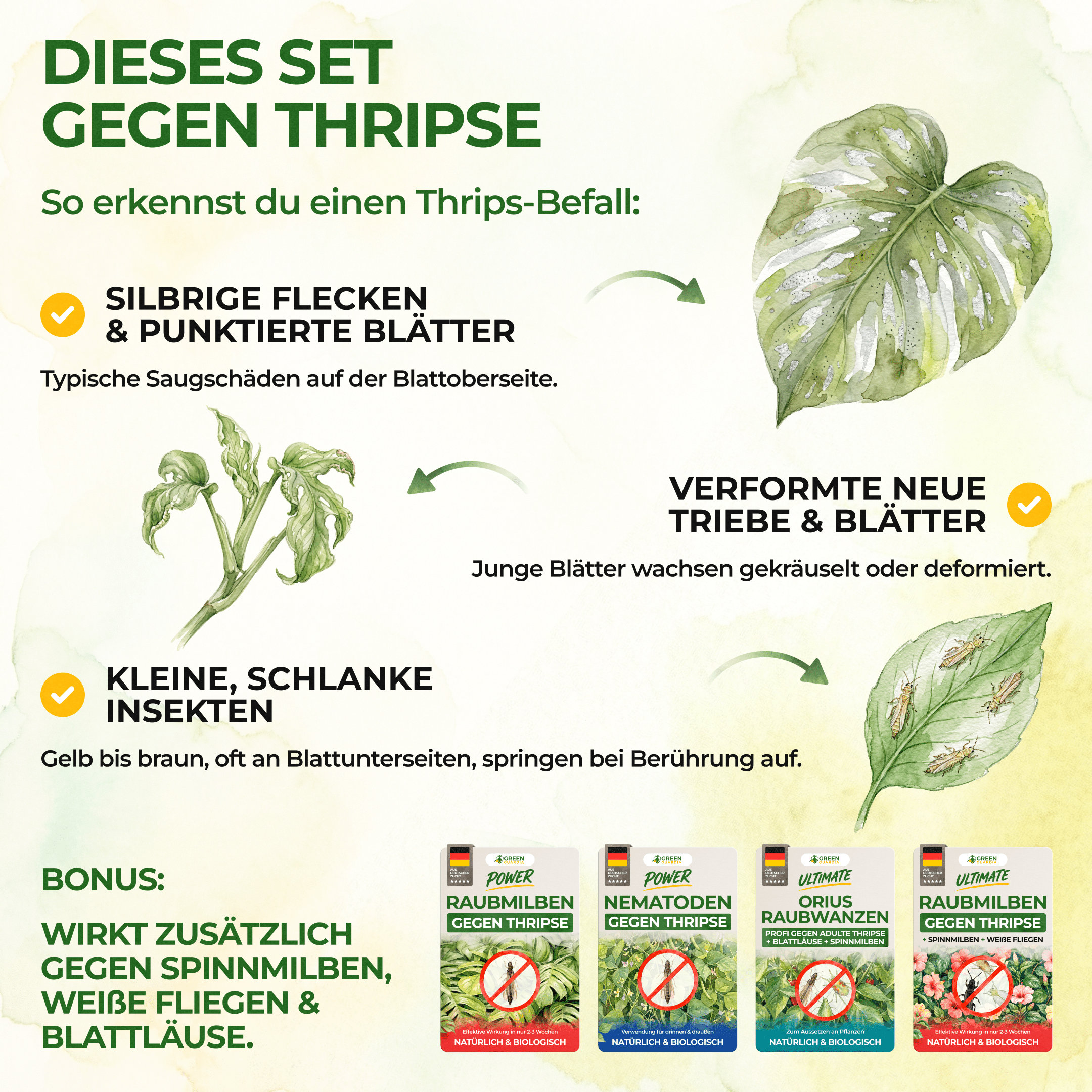 Thripse-Frei Bundle zur Soforthilfe - Green Guardia - Ihr Experte für Schädlinge und Pflanzen