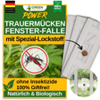 Trauermücken Fenster-Falle