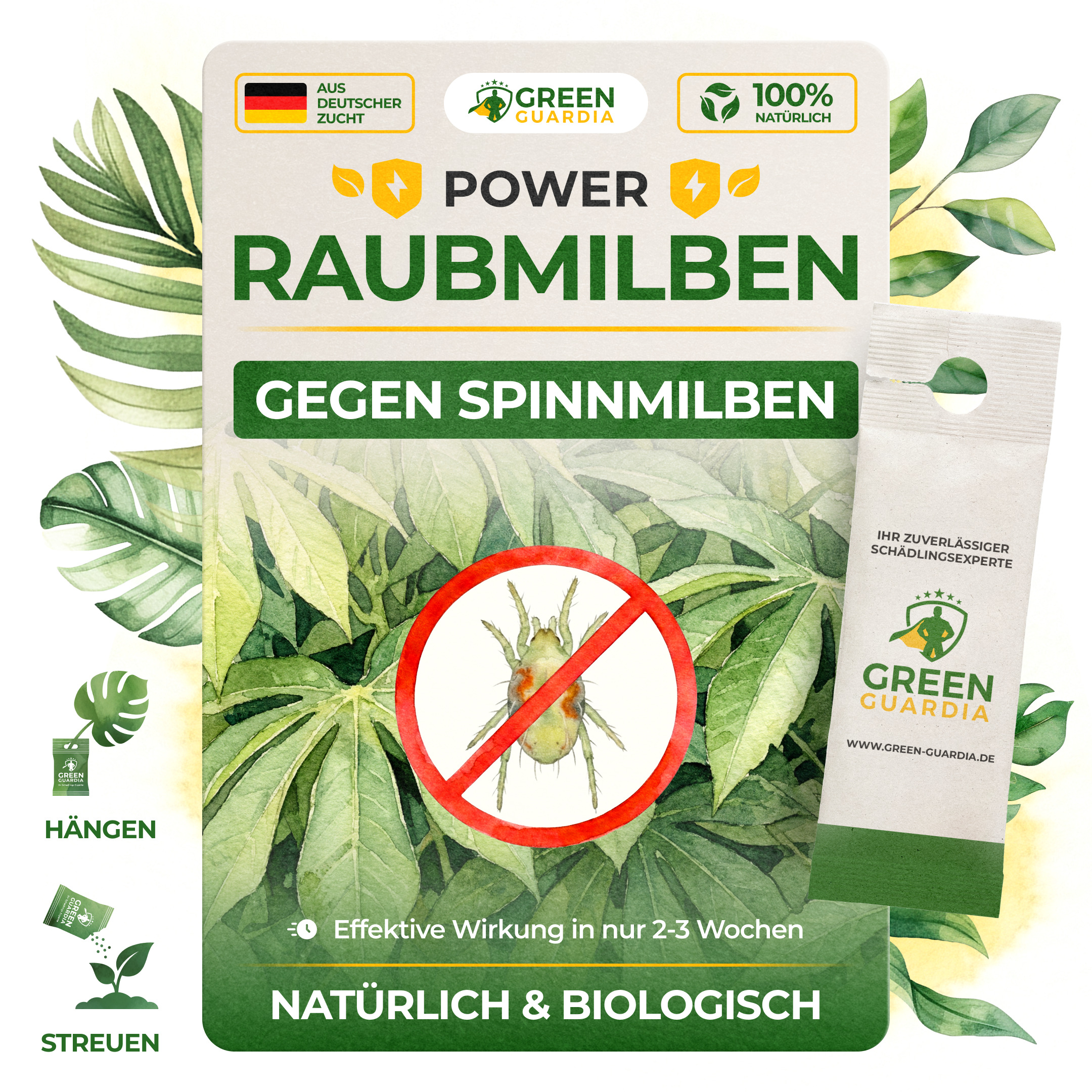 Raubmilben gegen Spinnmilben