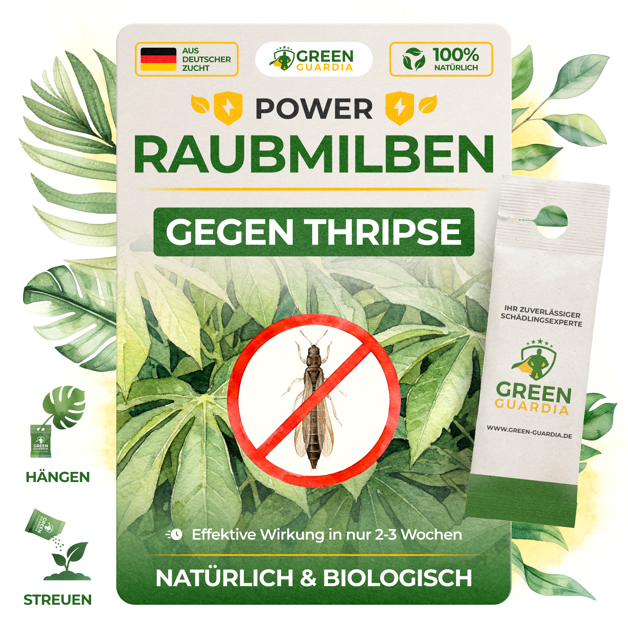 Raubmilben gegen Thripse