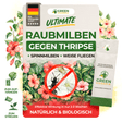Ultimate Raubmilben gegen Thripse, Spinnmilben & Weiße Fliegen