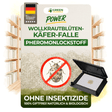 Woolly carpet beetle trap
