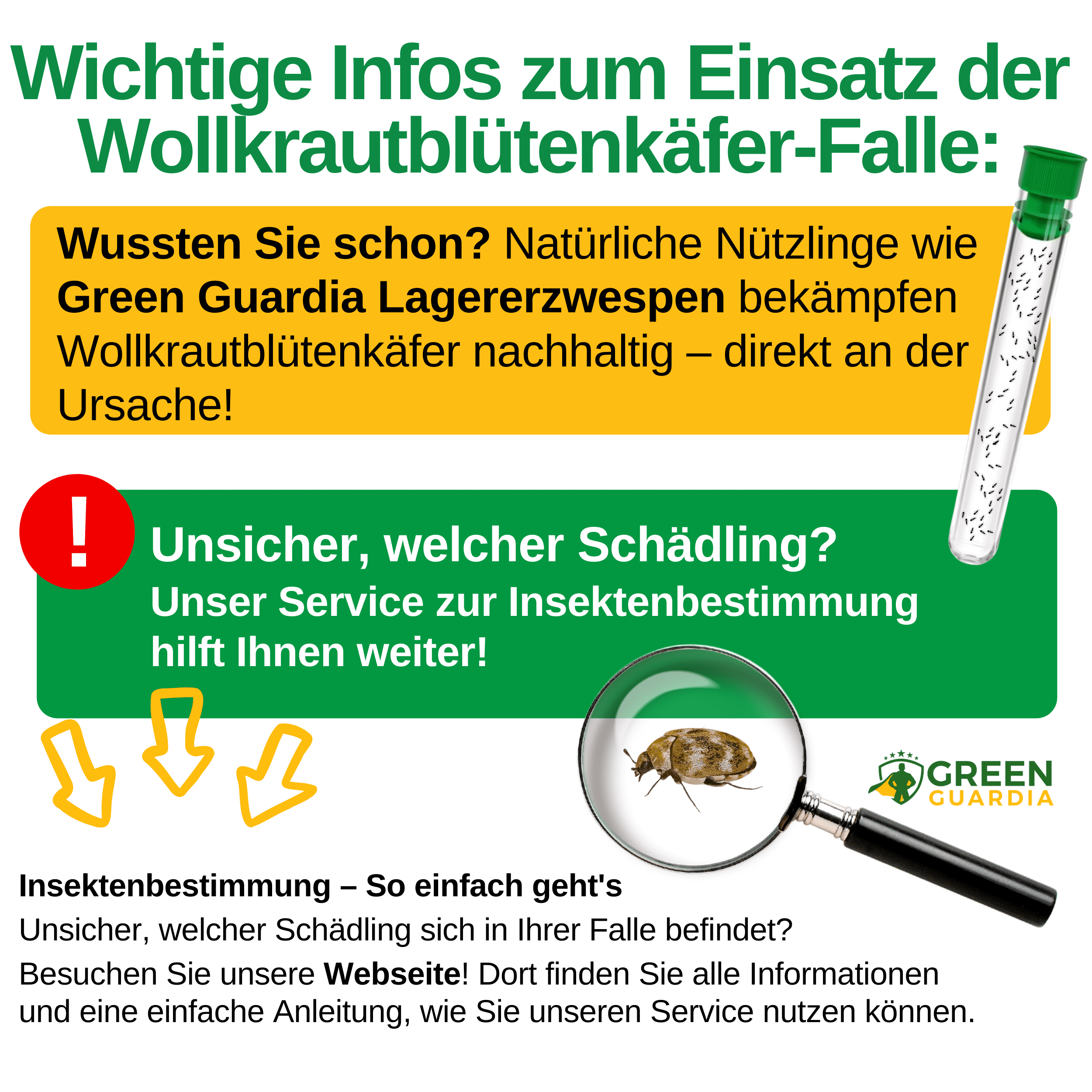 Wollkrautblütenkäfer Falle mit Pheromon - Lockstoff - Green Guardia - Ihr Experte für Schädlinge und Pflanzen