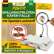 Wollkrautblütenkäfer Falle